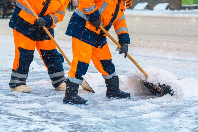 Snow Removal Services and Tips